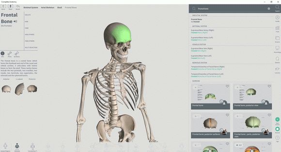 3d virtual human anatomy studio keygen generator