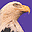 Big Birds Screensaver лого