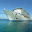 Cruise Ship Screensaver лого
