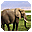 Elephants Free Screensaver лого