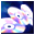 Fantom CD лого
