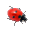 Ladybug on Desktop Screensaver лого