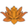 Lotus Tracker лого