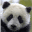 Panda Cam лого