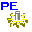 PE Corrector лого
