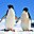 Polar Wildlife Free Screensaver лого
