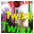 Twixtor лого