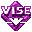 Installer VISE (formely VISE) лого