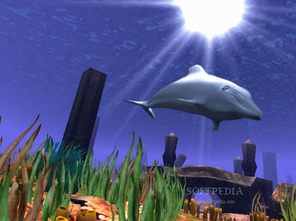 3D Wild Dolphin Screensaver [DISCOUNT: 40% OFF!] кряк лекарство crack