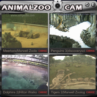 Animal Zoo Cam кряк лекарство crack