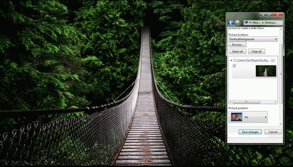 Bridge in forest кряк лекарство crack