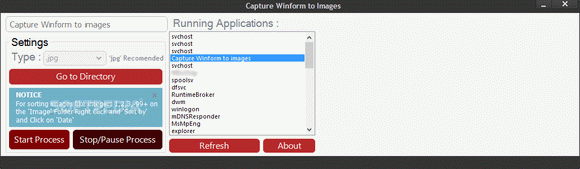 Capture Winform to Images кряк лекарство crack