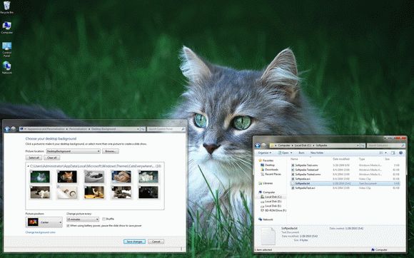 Котик 7. Windows 7 кошка. Кот виндовс. Темы для Windows 7 кошки. Windows котята.