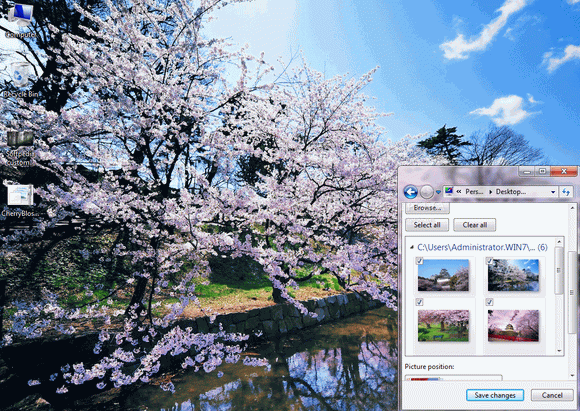 Cherry Blossoms of Japan Theme кряк лекарство crack