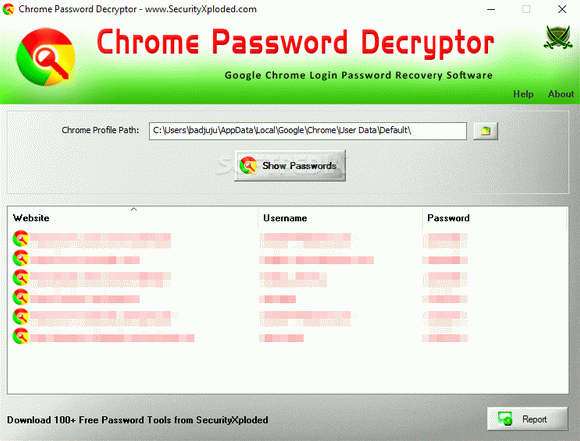 Chrome Password Decryptor кряк лекарство crack