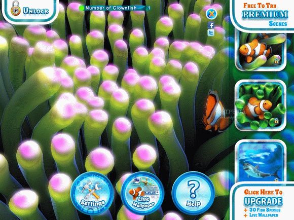 Clownfish Aquarium кряк лекарство crack