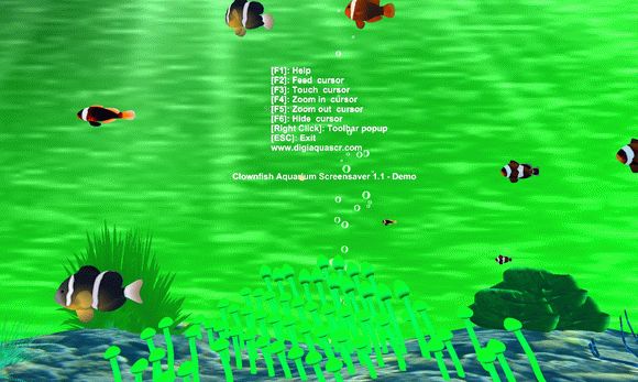 Clownfish Aquarium Screensaver кряк лекарство crack