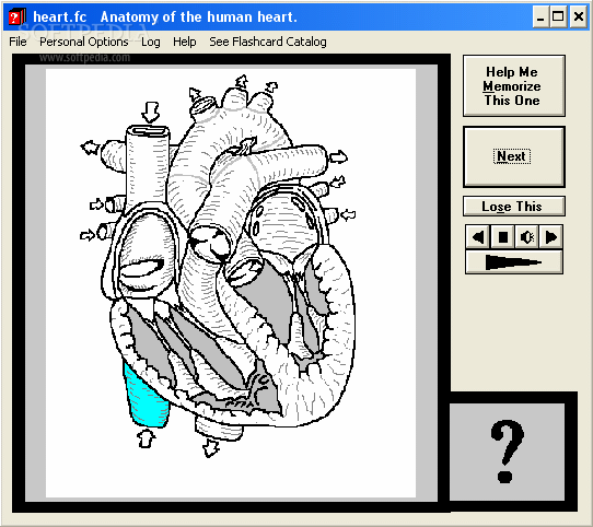 Computer Flashcards of the anatomy of the human heart кряк лекарство crack