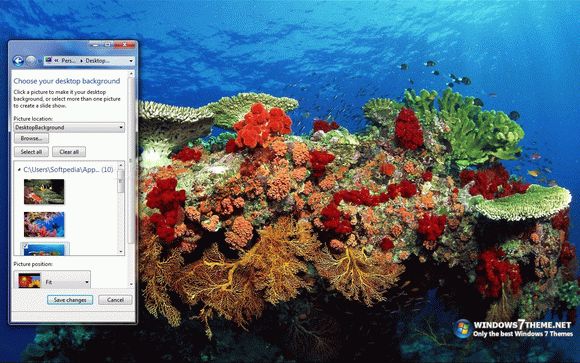 Coral Reef Windows 7 Theme with sound кряк лекарство crack