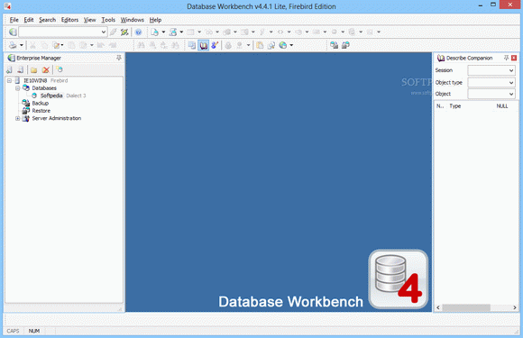 Database Workbench Lite for Firebird кряк лекарство crack