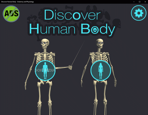 Discover Human Body - Anatomy and Physiology кряк лекарство crack