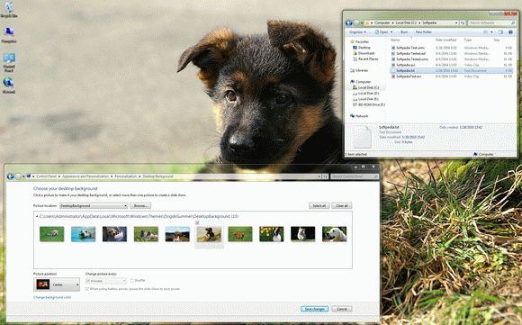 Dogs in Summer Windows 7 Theme кряк лекарство crack