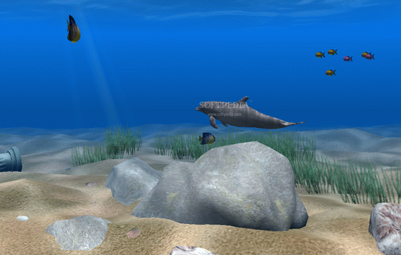 Dolphin Aqua Life 3D Screensaver кряк лекарство crack
