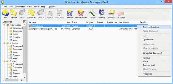 Download Accelerator Manager кряк лекарство crack
