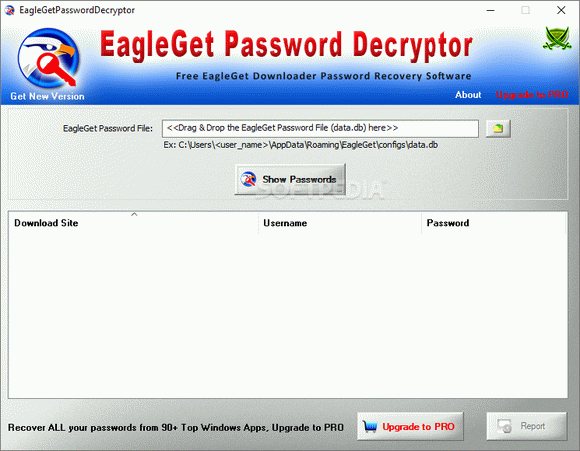 EagleGet Password Decryptor кряк лекарство crack