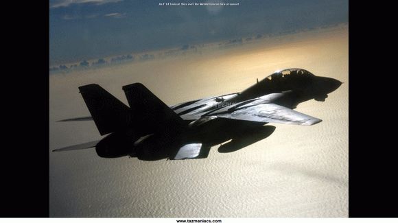 F-14 Tomcat кряк лекарство crack