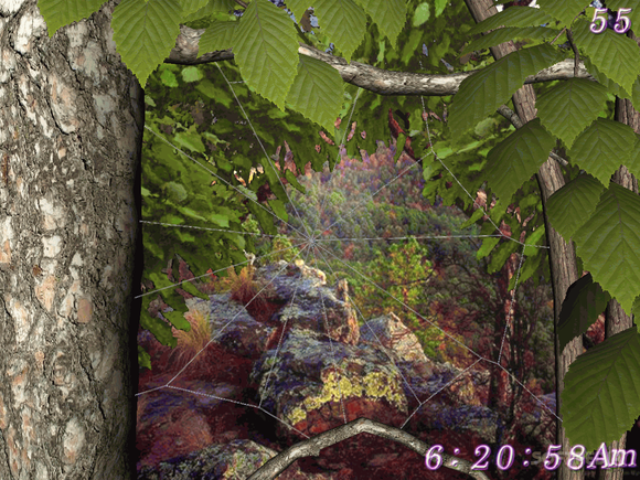 Forest Life 3D Screensaver кряк лекарство crack