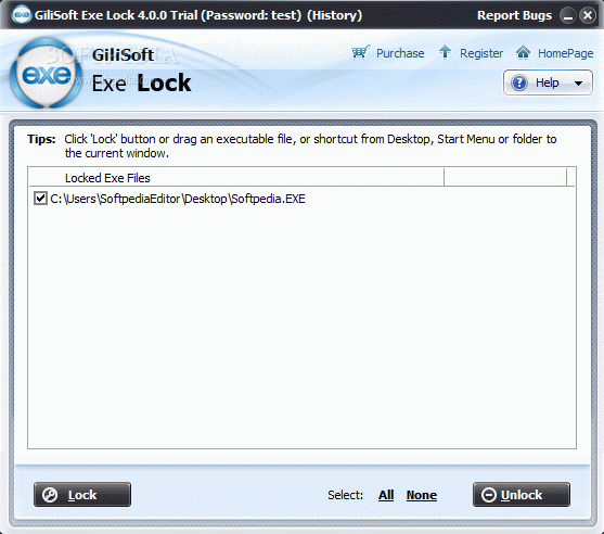 GiliSoft Exe Lock кряк лекарство crack