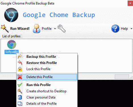 Google Chrome Backup кряк лекарство crack