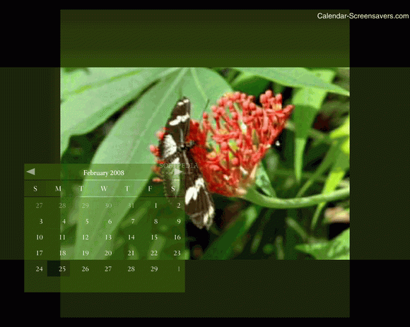 Gorgeous Butterflies Screensaver кряк лекарство crack