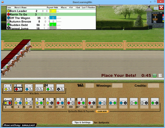 Hands On Horse Racing кряк лекарство crack
