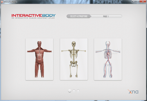 Interactive Body кряк лекарство crack