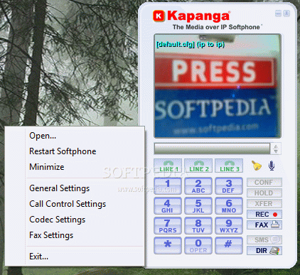 Kapanga Softphone кряк лекарство crack