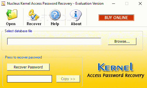 Nucleus Kernel Access Password Recovery кряк лекарство crack