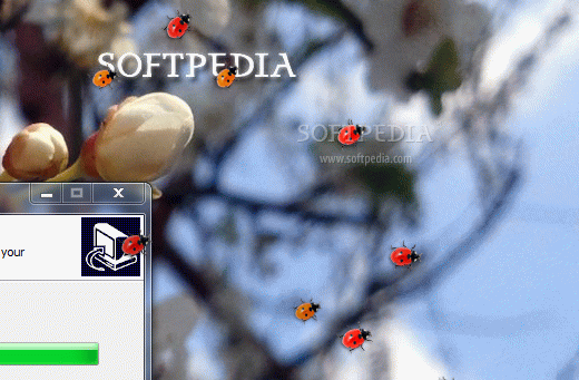 Ladybug on Desktop Screensaver кряк лекарство crack