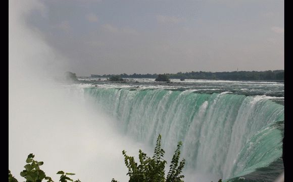 Niagara Falls кряк лекарство crack