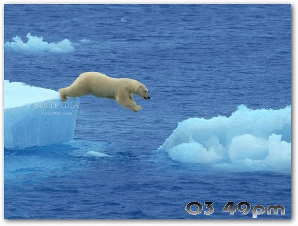 Polar Bears Free Screensaver кряк лекарство crack