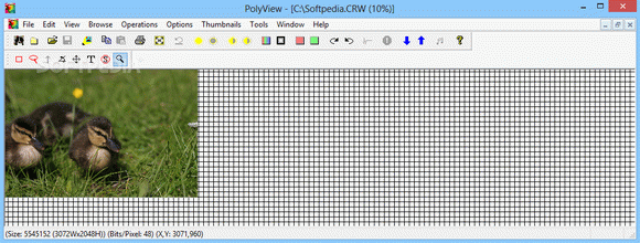 PolyView Canon CRW Support кряк лекарство crack