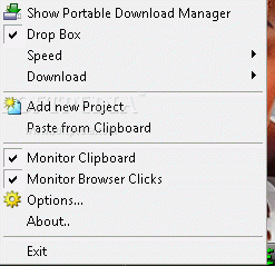 Portable Download Manager кряк лекарство crack