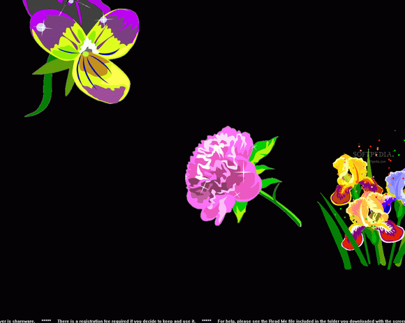 Pretty Flowers Screensaver кряк лекарство crack