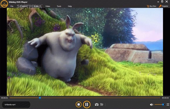 ShiningSoft Shining DVD Player кряк лекарство crack