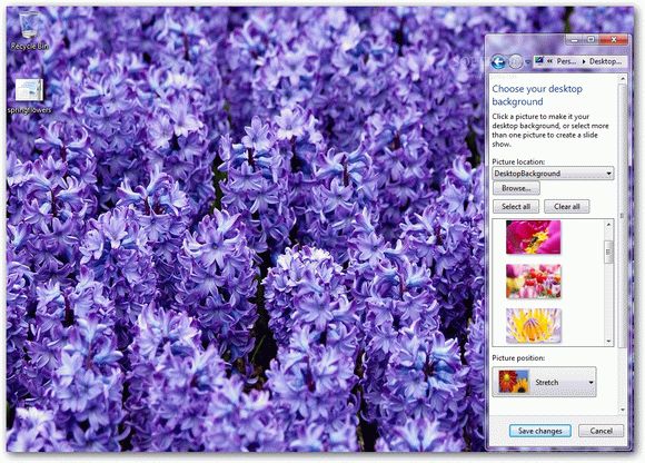 Spring Flowers Windows 7 Theme кряк лекарство crack