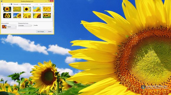Sunflower Windows 7 Theme кряк лекарство crack