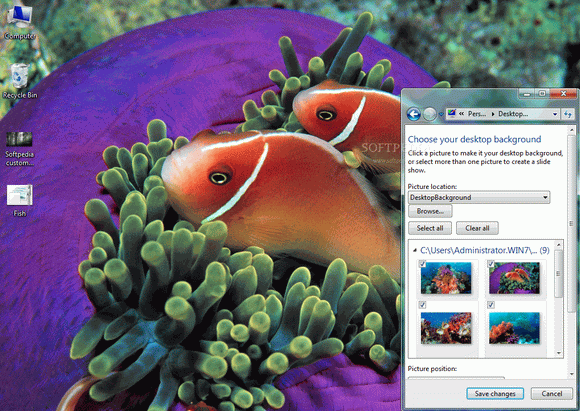 Tropical Fish Windows 7 Theme кряк лекарство crack